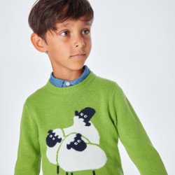 Sweter dla chłopca z...